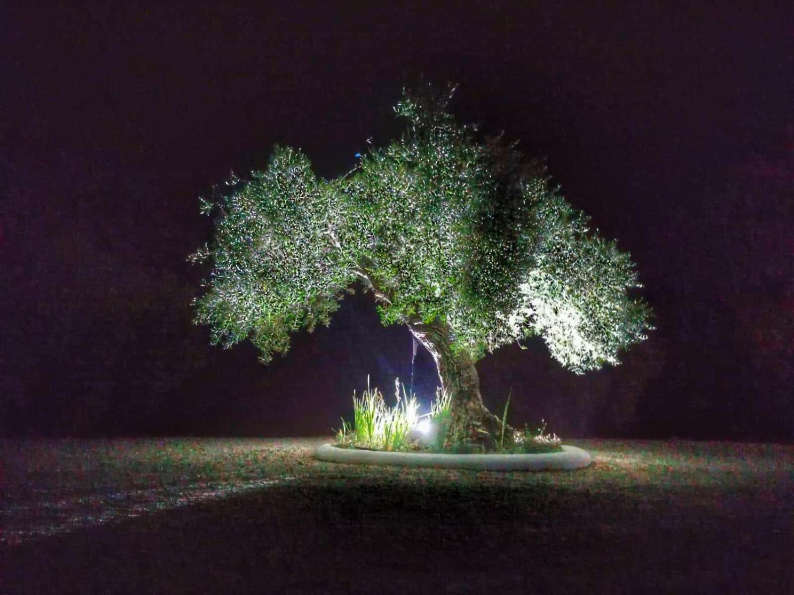 Villa El Carmen Ronda Esterno foto