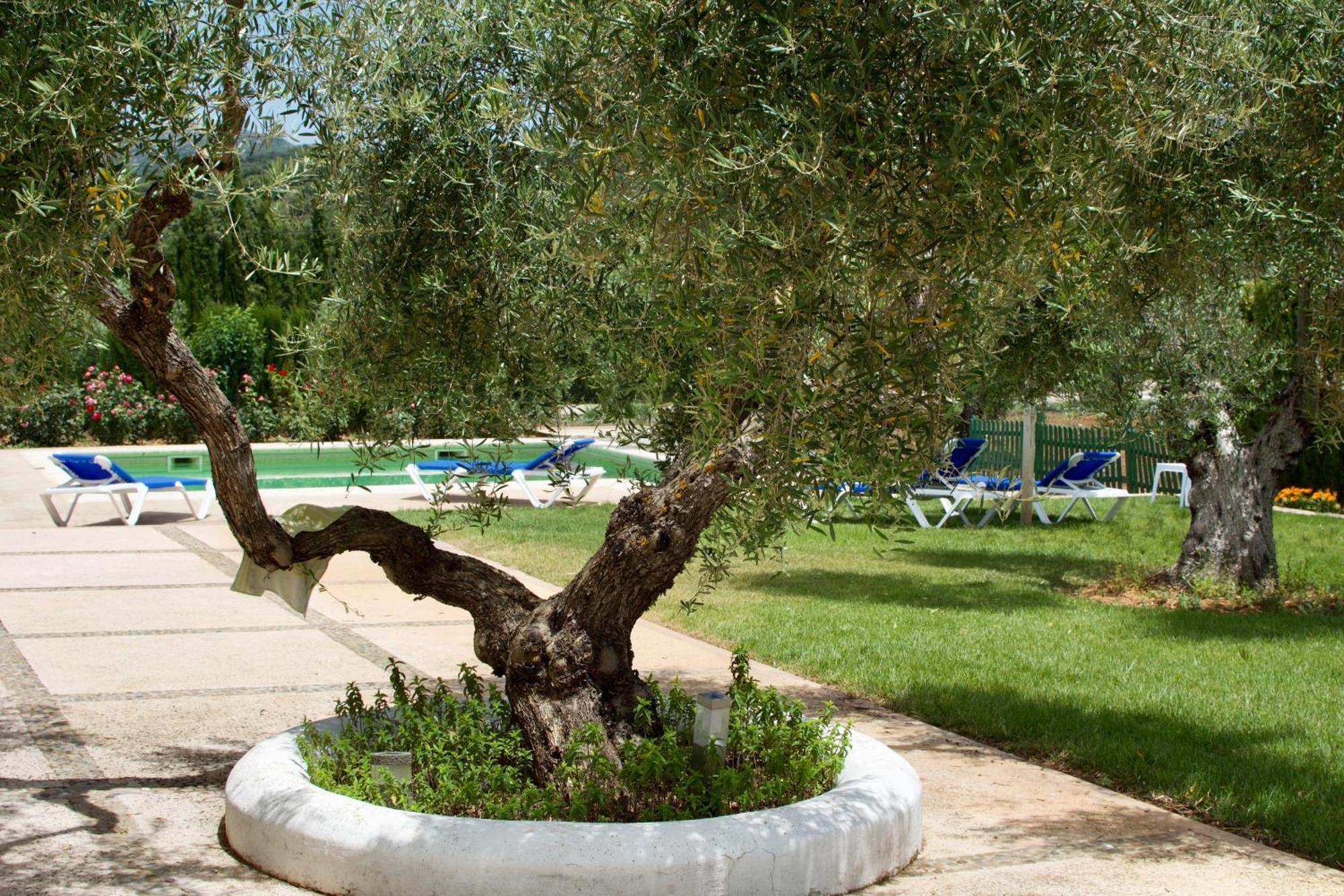 Villa El Carmen Ronda Esterno foto